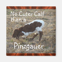 Pinzcalf9244-customize Magnete