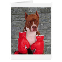 Pitbull Boxer Grußkarte