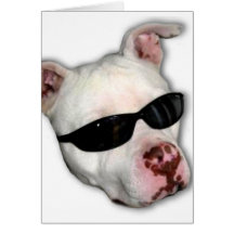 Pitbull Grußkarte