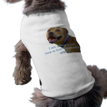 Pitbull Hemd Haustierhemden