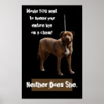Pitbull Hund auf einer Kette Plakate