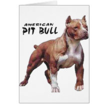 Pitbull Karten
