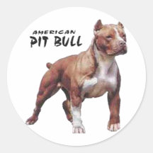 Pitbull Runder Aufkleber