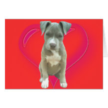 Pitbull Welpen-Grußkarte