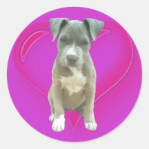 Pitbull Welpenaufkleber