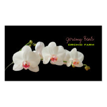 PixDezines Orchidee/diy Hintergrund color♥♥♥ Visitenkarte