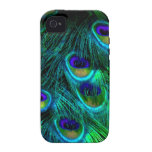 PixDezines psychedelischer Pfau, BB iPhone 4 Hüllen