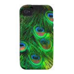 PixDezines psychedelischer Pfau, Neongrün Vibe iPhone 4 Cover