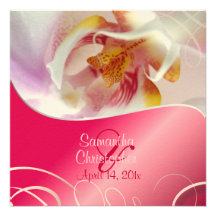 PixDezines weiße Orchidee | blaß - Rosa + Weiß Personalisierte Ankündigungskarte