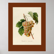 Plakat Chasselat Des Fontainebleau