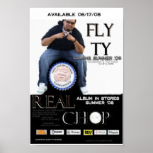 PLAKAT DER FLIEGEN-TY