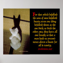 Plakat Ecclesiastes3-19
