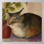 PLAKAT - französische Katze
