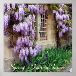 PLAKAT - Frühling - Tournon Frankreich