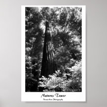 Plakat-Natur-Turm
