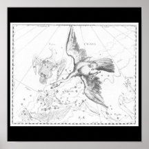 Plakat-Vintage Astrologie/Divination-12