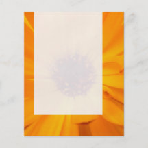 Platte 026 - Orange Ringelblume Flyerbedruckung