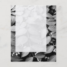 Platte 037 - Blätter Bedruckte Flyer