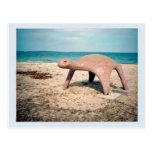 Playground Turtle Postcard