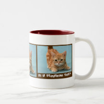 Playtime-Miezekatze-Becher Kaffee Haferl