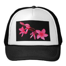 Plumeria 1 baseball cap