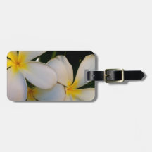 Plumeria Kofferanhängern