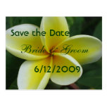 Plumeria-Save the Date Postkarte