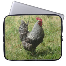 Plymouth Rock-Huhn Computer Sleeve Schutzhüllen