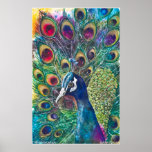 PMACarlson goldenes Pfau-Plakat