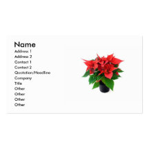 Poinsetta Visitenkarte