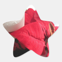 Poinsettia mit Kerze Stern Aufkleber