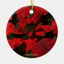 Poinsettia-/Stechpalmen-Foto-Verzierung Weihnachtsbaum Ornamente