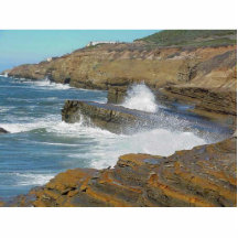 Point Loma-Ozean-Wellen 3 Fotostatue