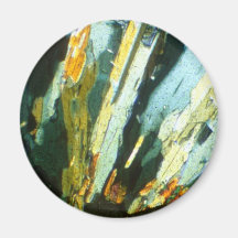 Polarisiert Kühlschrankmagnet