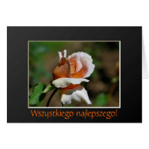 Polnische Geburtstag Sto Lat-Rosenknospe-Blumenkar