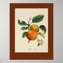 Pomme Princesse Plakat