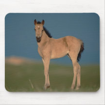 Pony-Mäusematte Mousepads