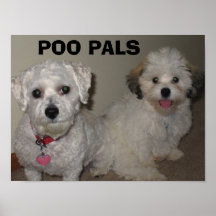 POO KUMPEL POSTERDRUCKE
