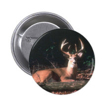 Populäres Whitetailed Rotwild-Dollar-Geschenk Buttons