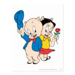 Porky Schwein und Petunie postkarten
