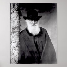 Porträt von Charles Darwin 1881 Plakate