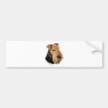 Porträt Walisers Terrier Autoaufkleber