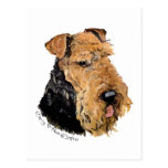 Porträt Walisers Terrier Postkarte