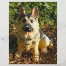 Porzellan-Hund Personalisierte Flyer