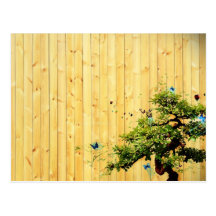 Postkarte