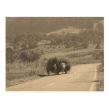 Postkarte