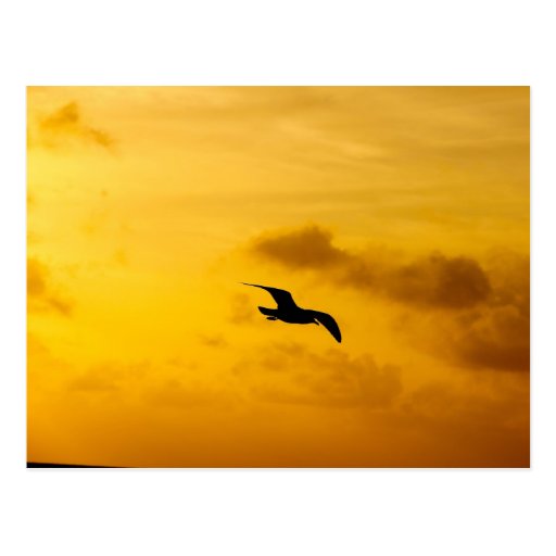 Postkarte