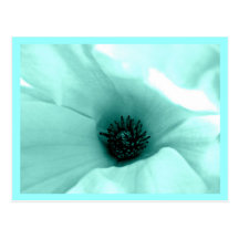 Postkarte-Blume-Gemalte Blumen 9