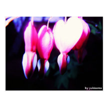 Postkarte - Blumenherzen