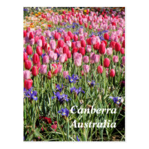 Postkarte Canberras Australien